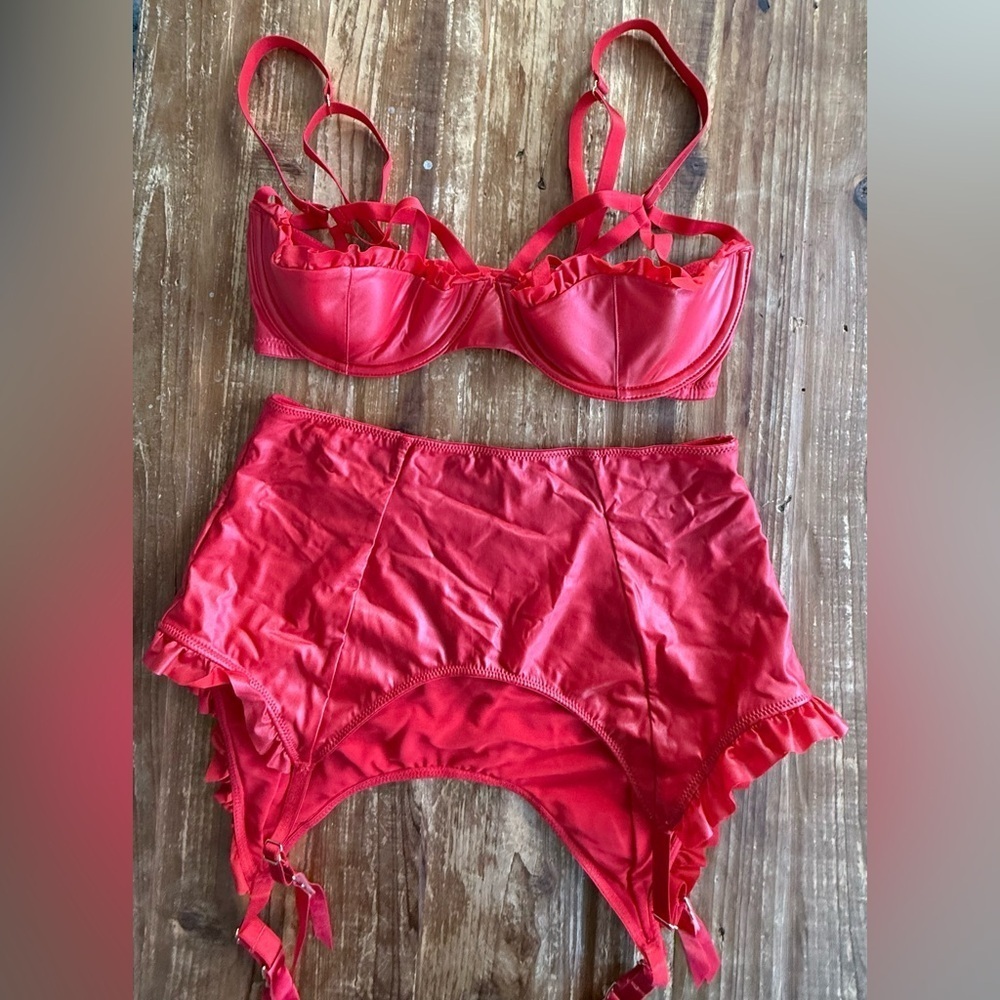 Savage x Fenty Glossy Flossy Caged Quarter Cup Bra and matching garter skirt - Picture 3 of 7